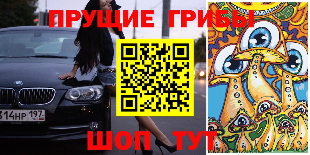 Галлюциногенные грибы Psilocybine cubensis Кыштым