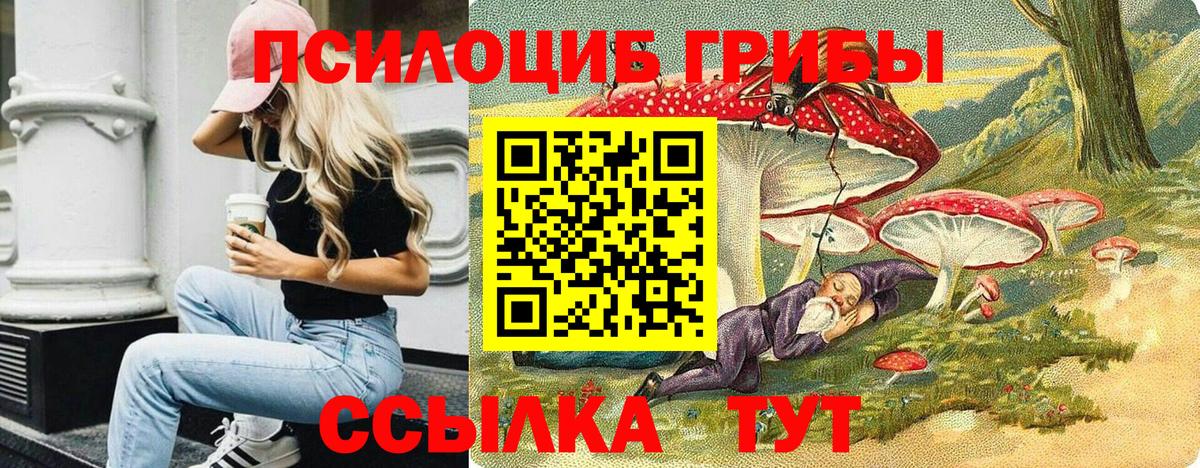 Кыштым  Галлюциногенные грибы мицелий  Вход с VPN 